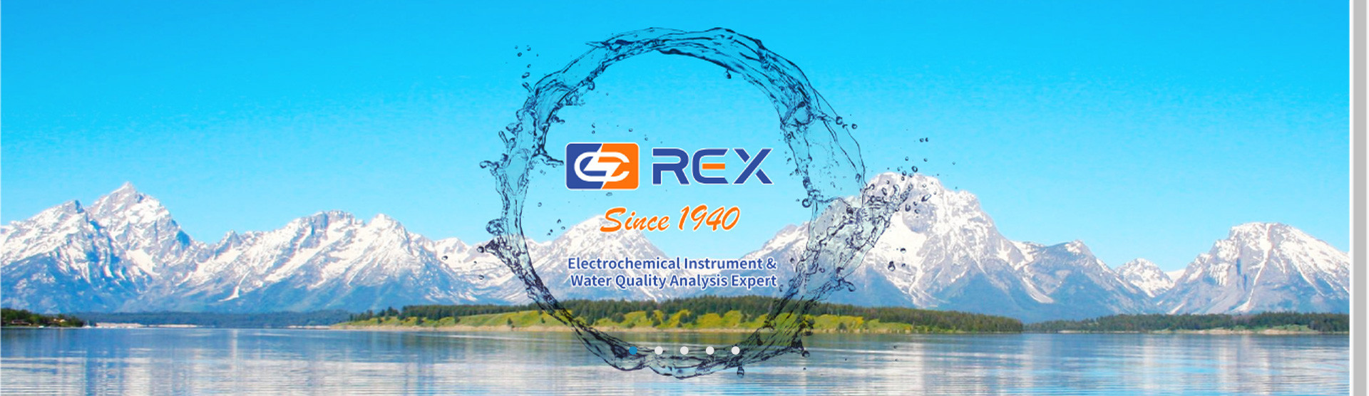 REX Video