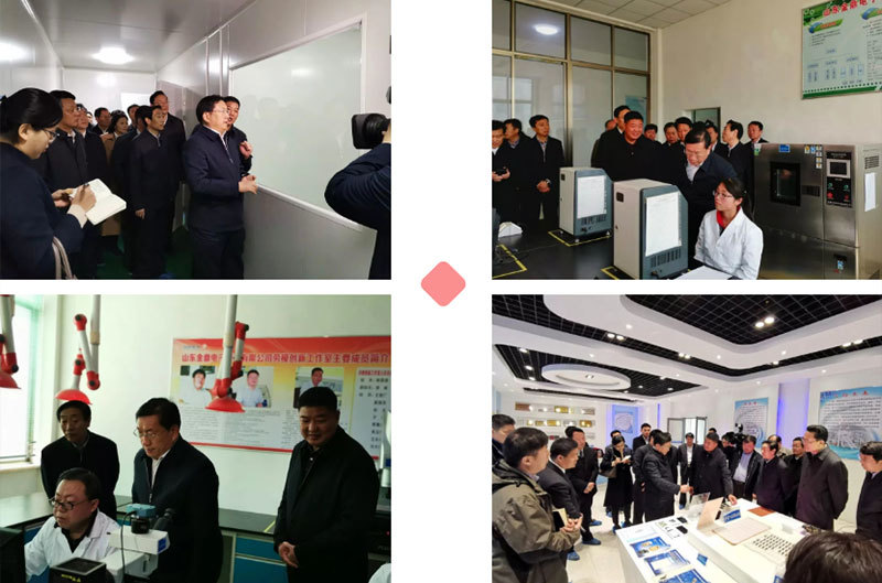 Wang Zhonglin, member of the Standing Committee of the Shandong Provincial Party Committee, inspected Shandong Jinding and attached great importance to the development of the enterprise