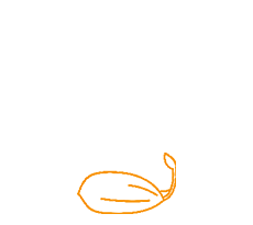 17251504 17251504