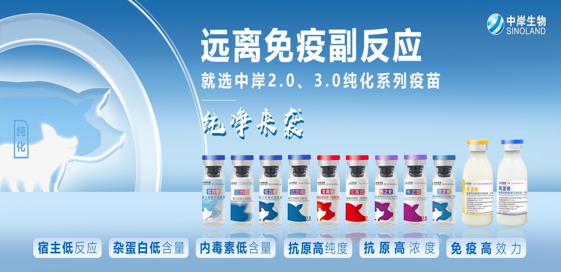 中岸纯化系列疫苗，给您猪群无微不至的呵护！