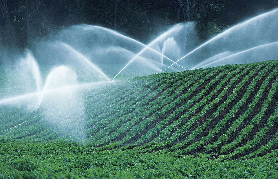 Water flowing through an agricultural irrigation system