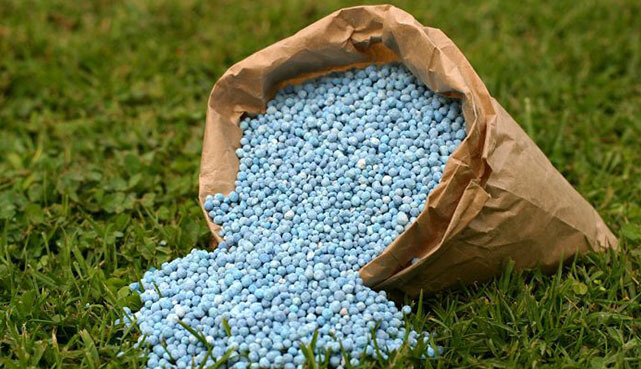 types-of-fertilizer.jpg