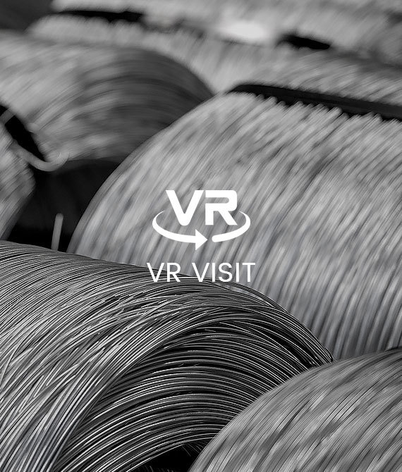 VR Visit
