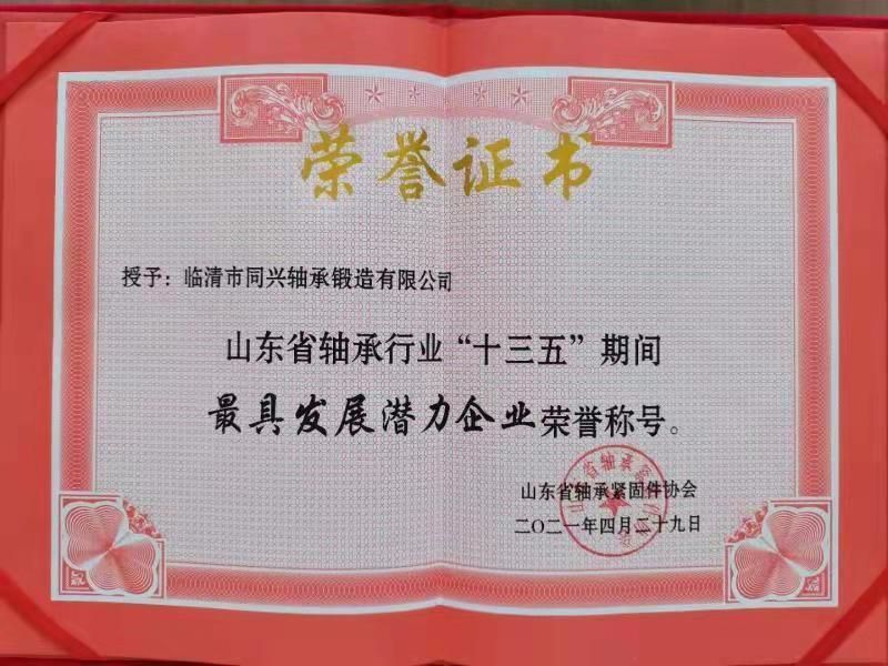 最具发展潜力企业