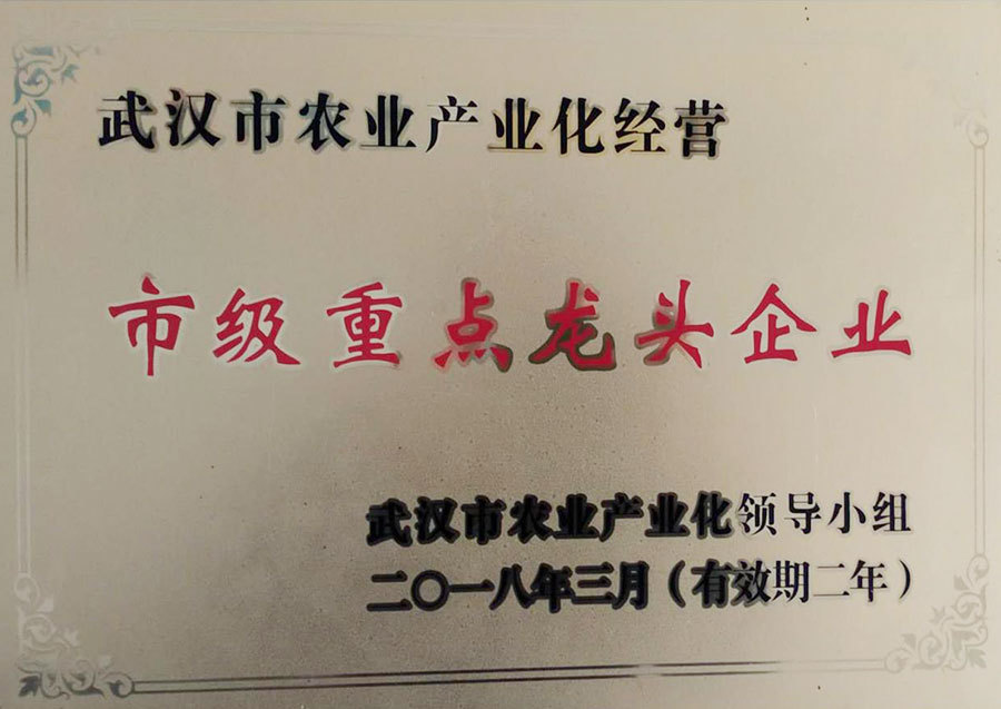 市级重点龙头企业