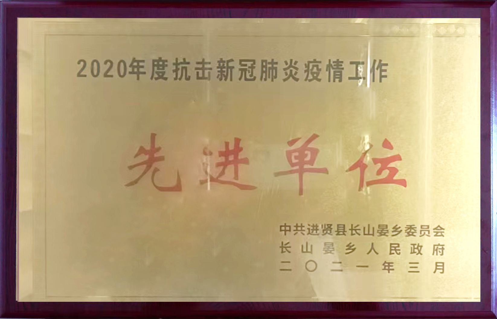2020年度抗击新冠肺炎疫情工作