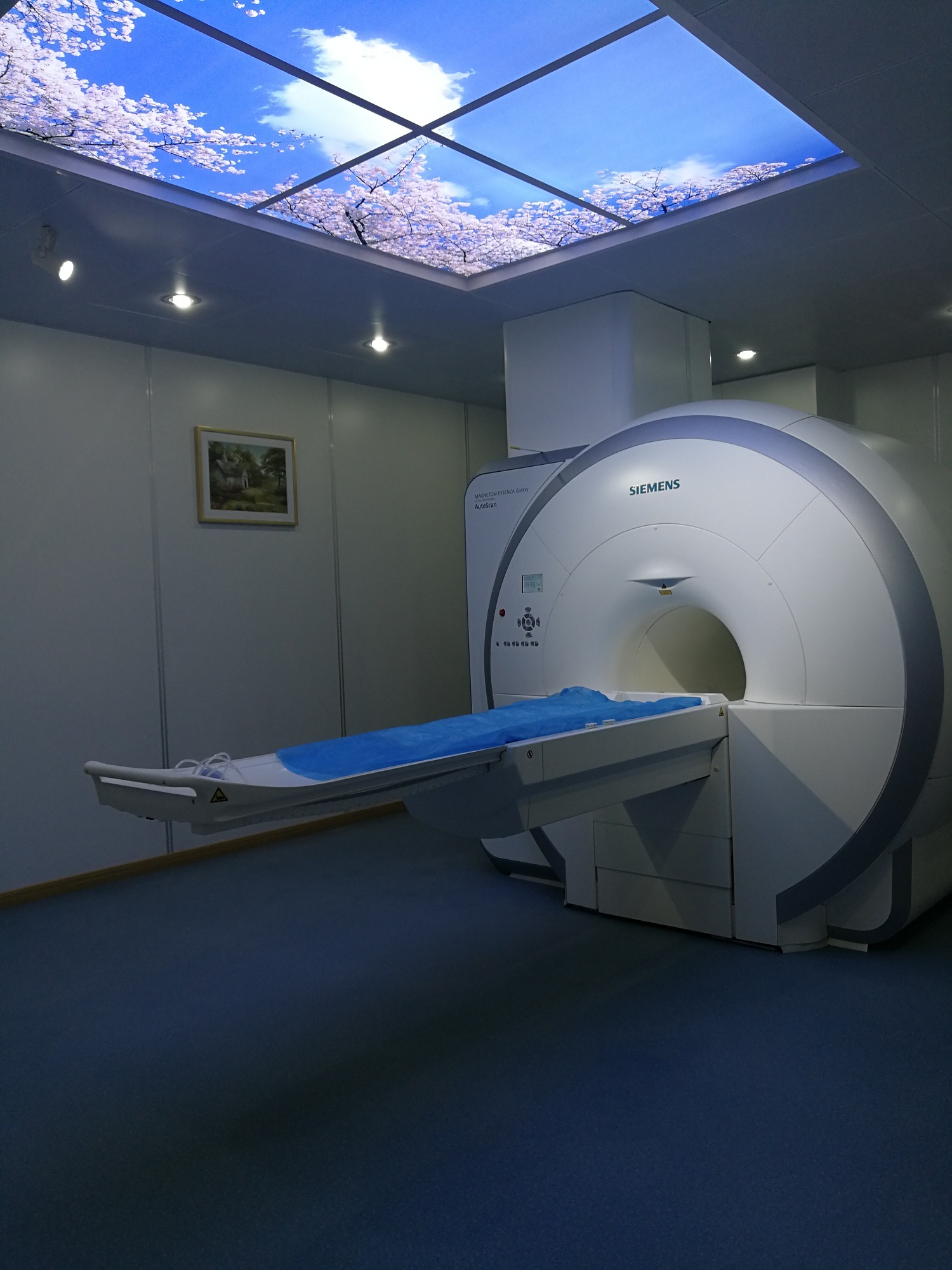 核磁共振（MRI）成像系统