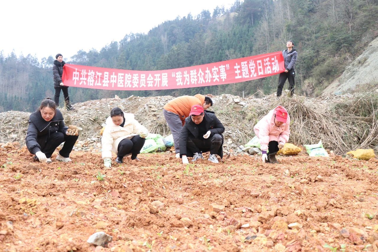 【党日活动】医院到帮扶村（通倒村）开展“秋冬种时节·助农添‘薯光’”主题活动！