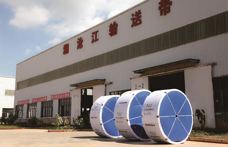 Polyester conveyor belt