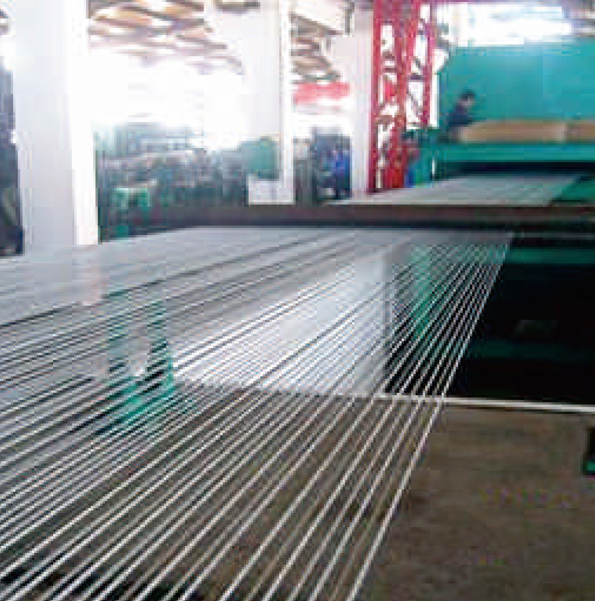 Steel cord conveyor belt