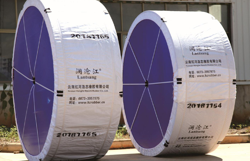 Polyester conveyor belt