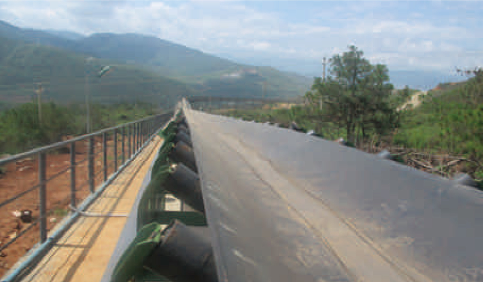 Steel cord conveyor belt