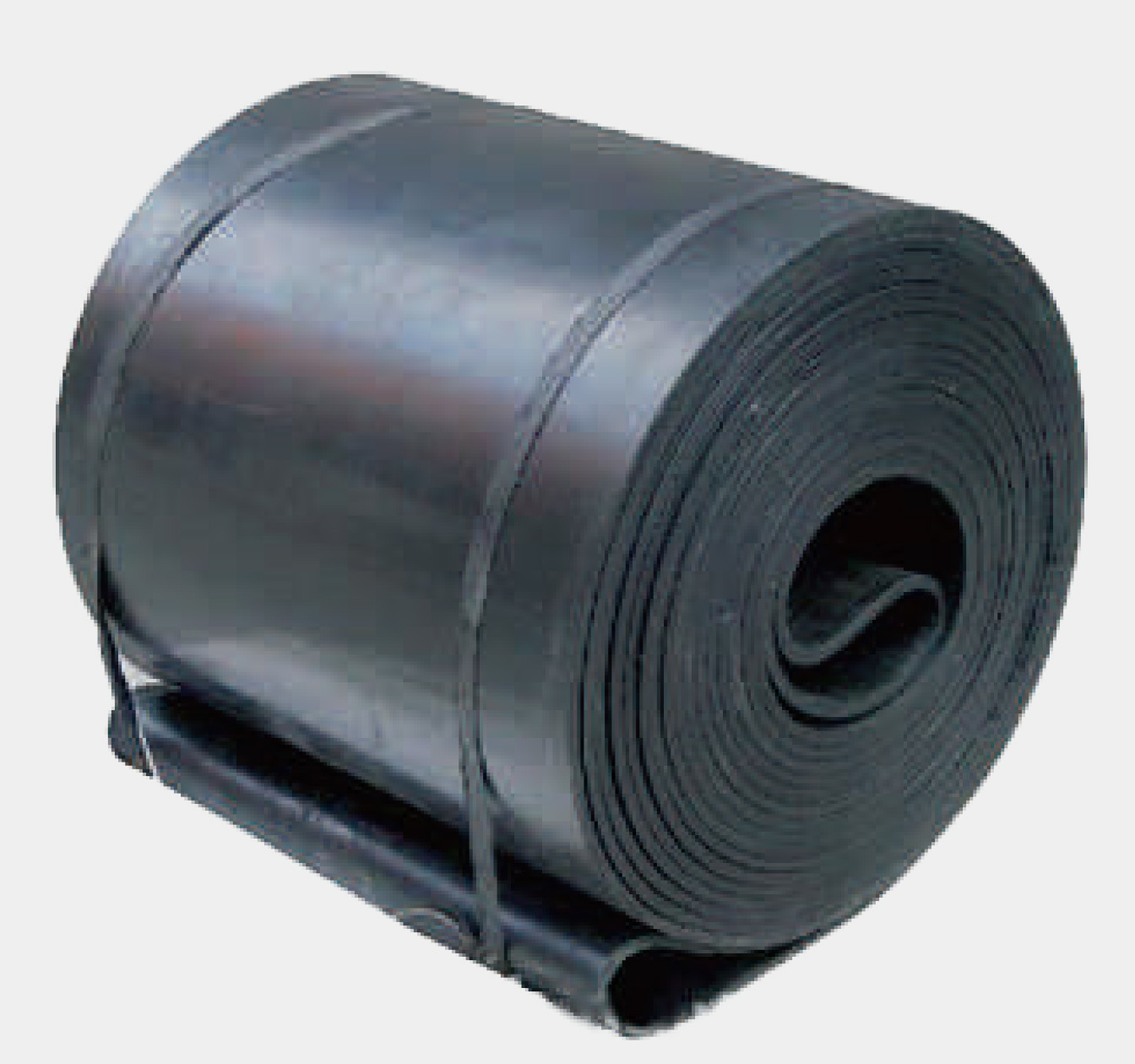 Ring conveyor belt