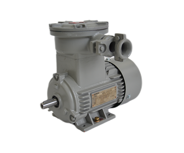 Siemens 1MB0 flameproof motor