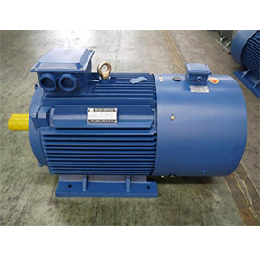 Y2VP80~355 series variable frequency speed regulation three-phase asynchronous motor