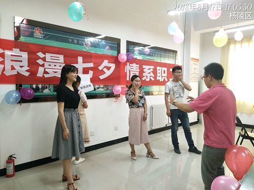 西宇无损检测