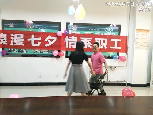 西宇无损检测
