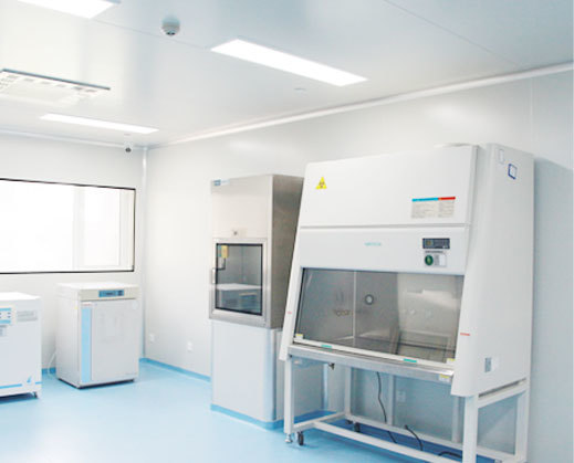 GMP Standard Clean Laboratory