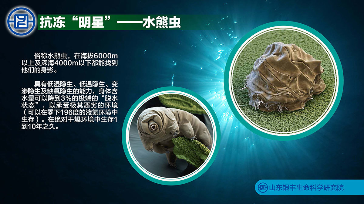 水熊虫