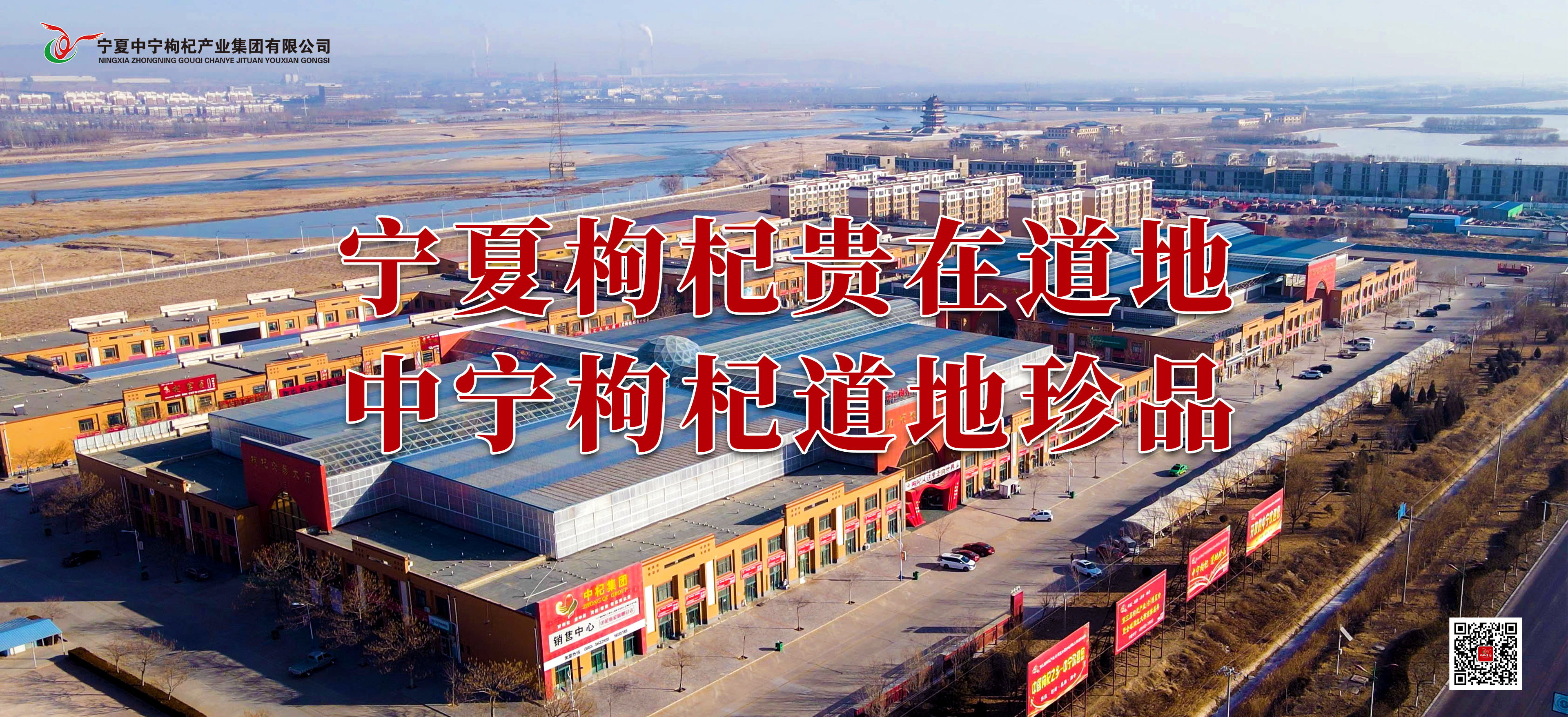 寧夏枸杞貴在道地，中寧枸杞道地珍品