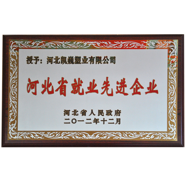 榮譽證書