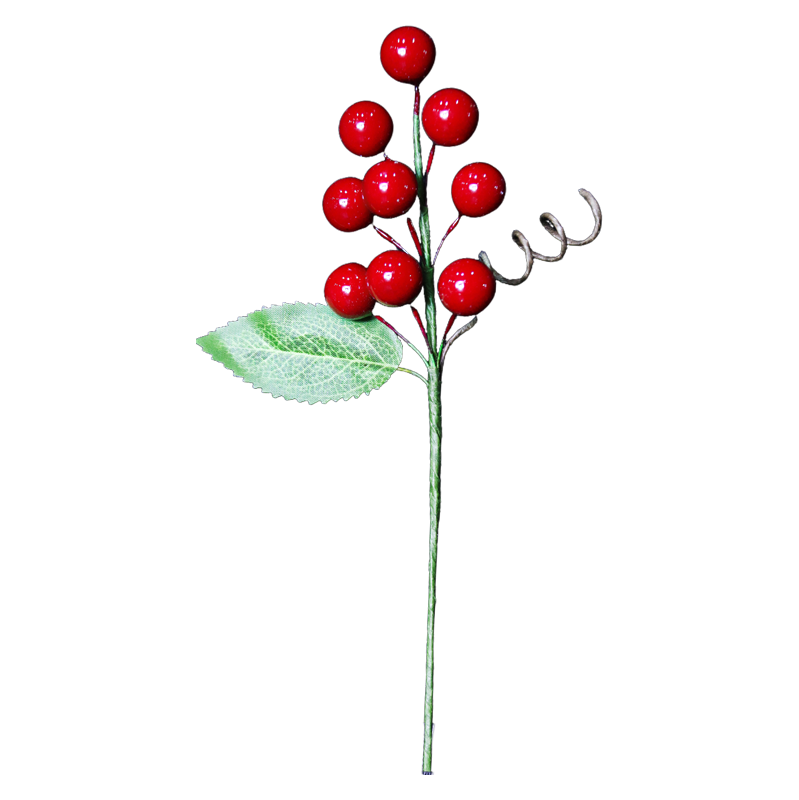 插枝