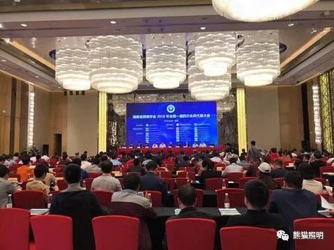 熊猫照明出席2018湖南省照明学会年会
