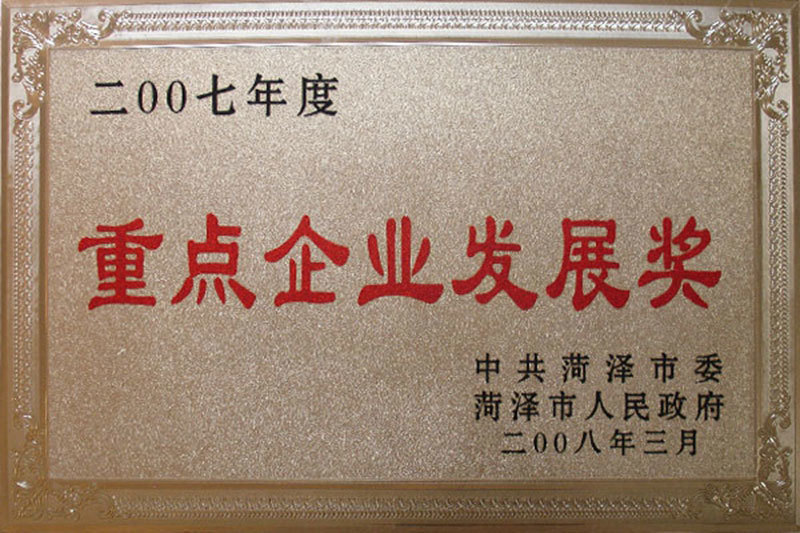 2007年度重点企业发展奖