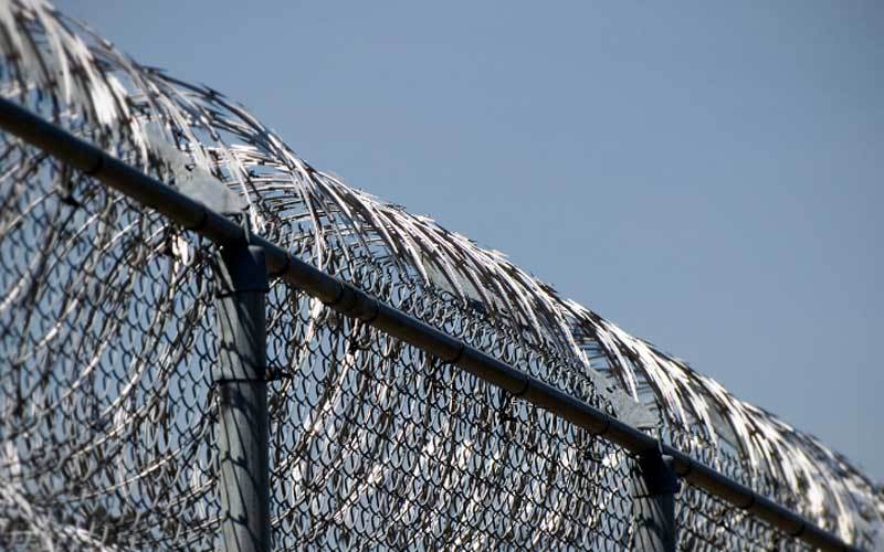 Concertina razor wire