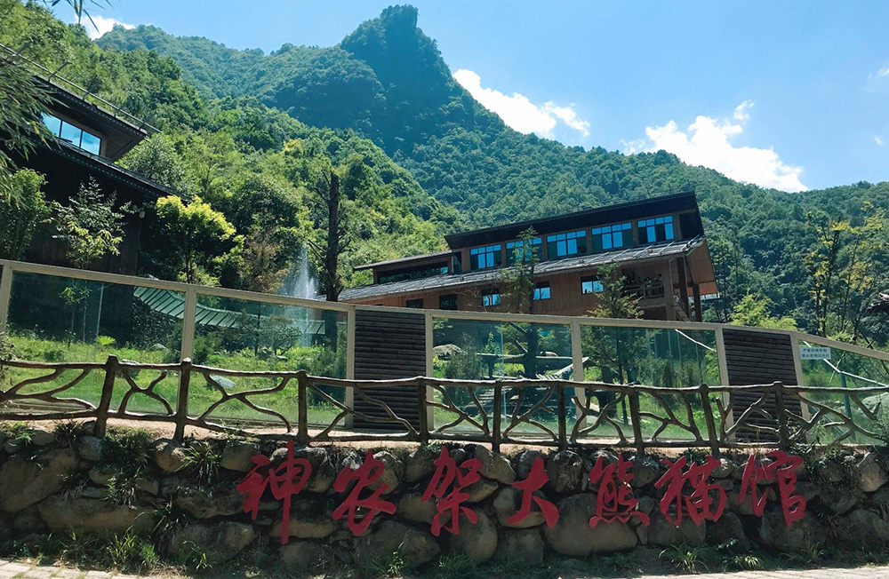 神農(nóng)架大熊貓館