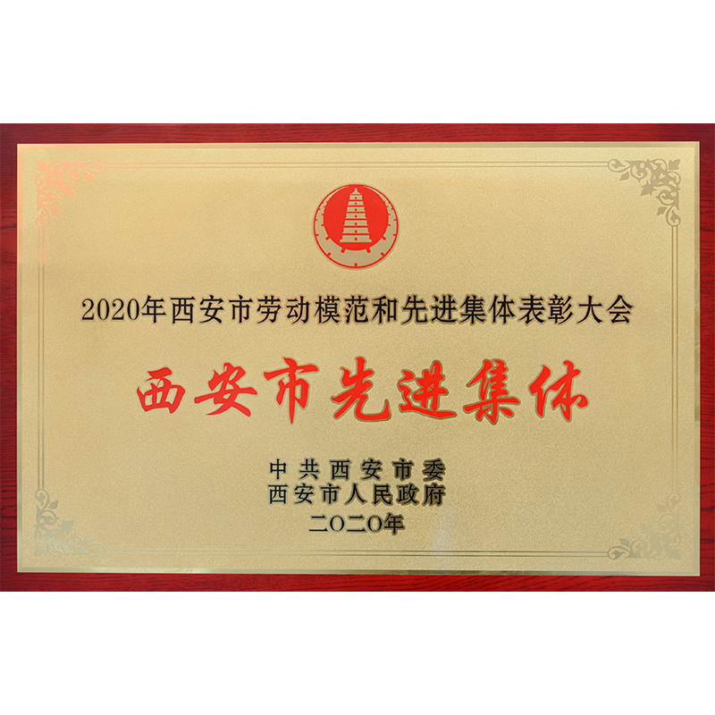 西安市先進集體
