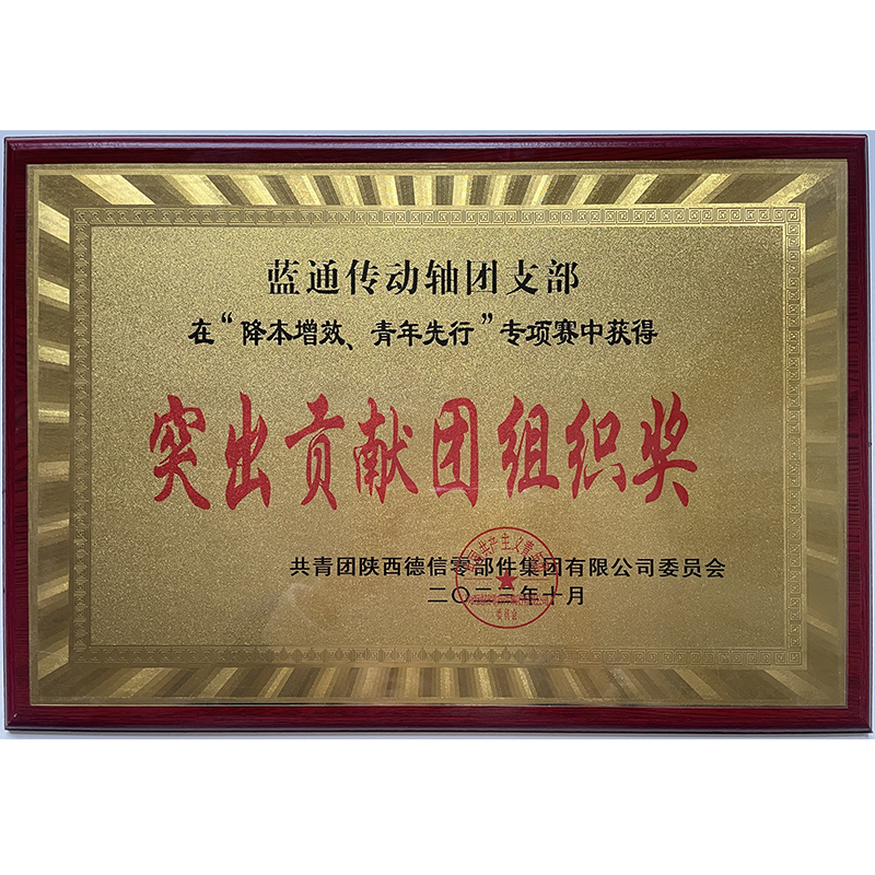 突出貢獻團組織獎