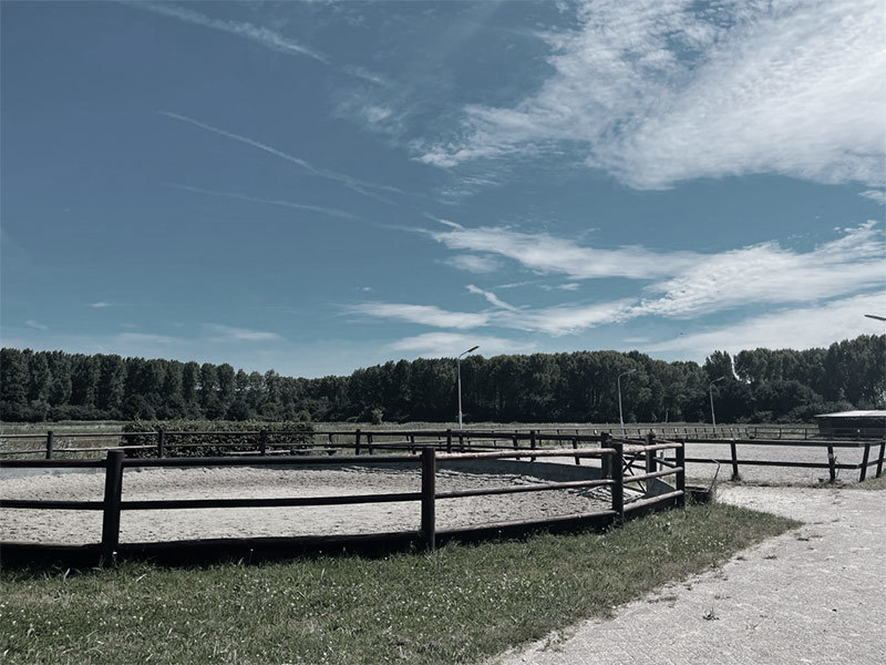 Horse farm