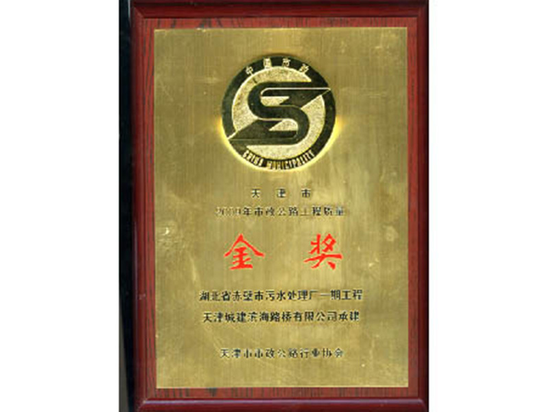 天津市2009年市政公路工程质量金奖