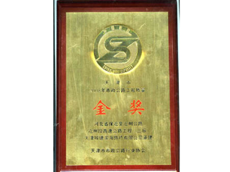 天津市2008年市政公路工程质量“金奖”