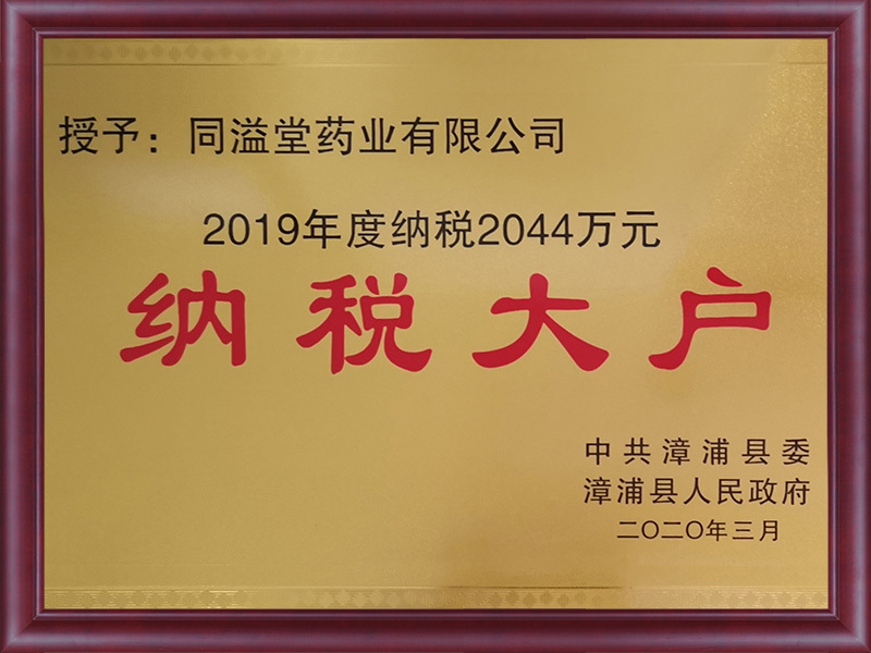 2019年度纳税大户