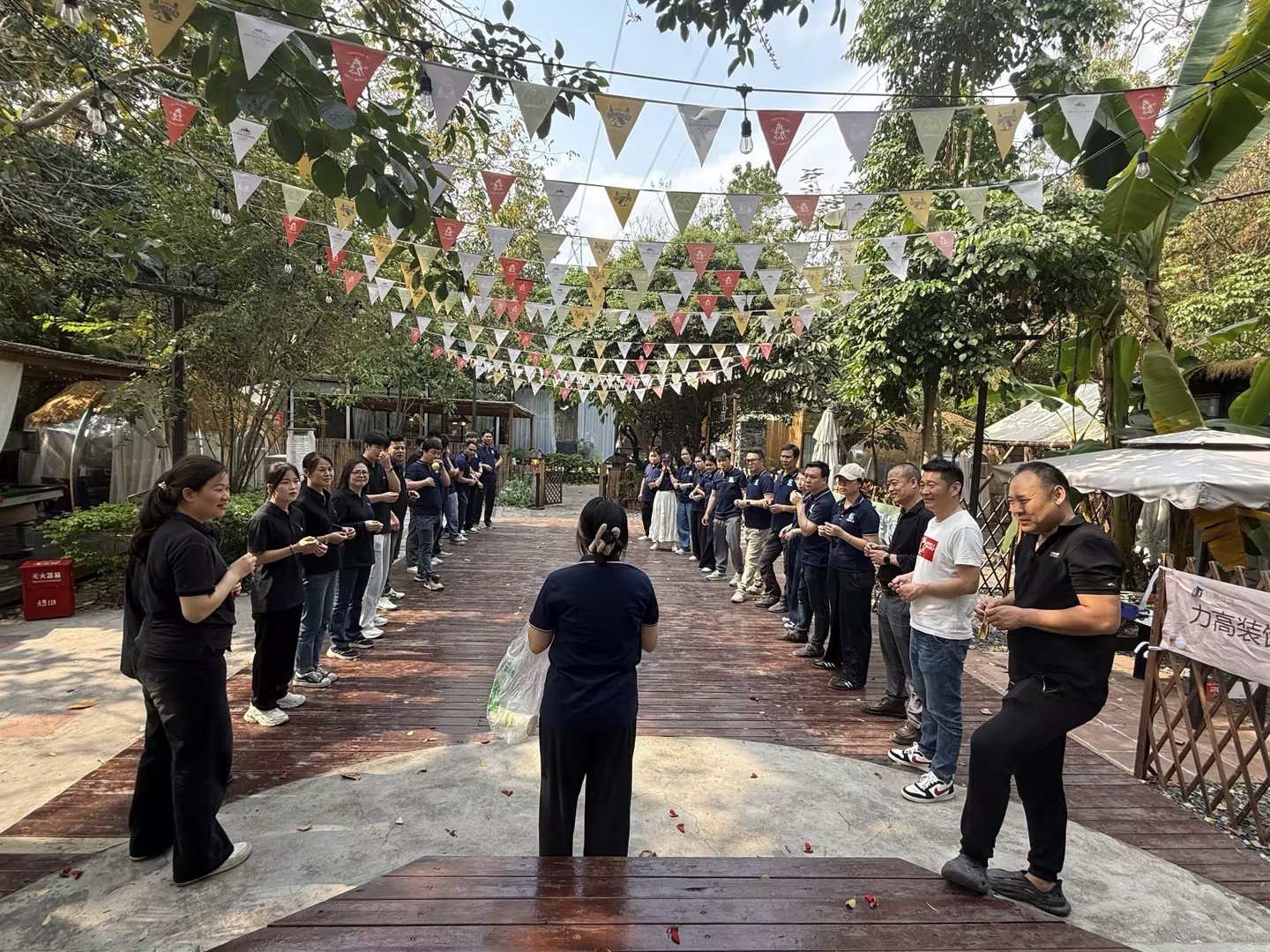 力高风采
