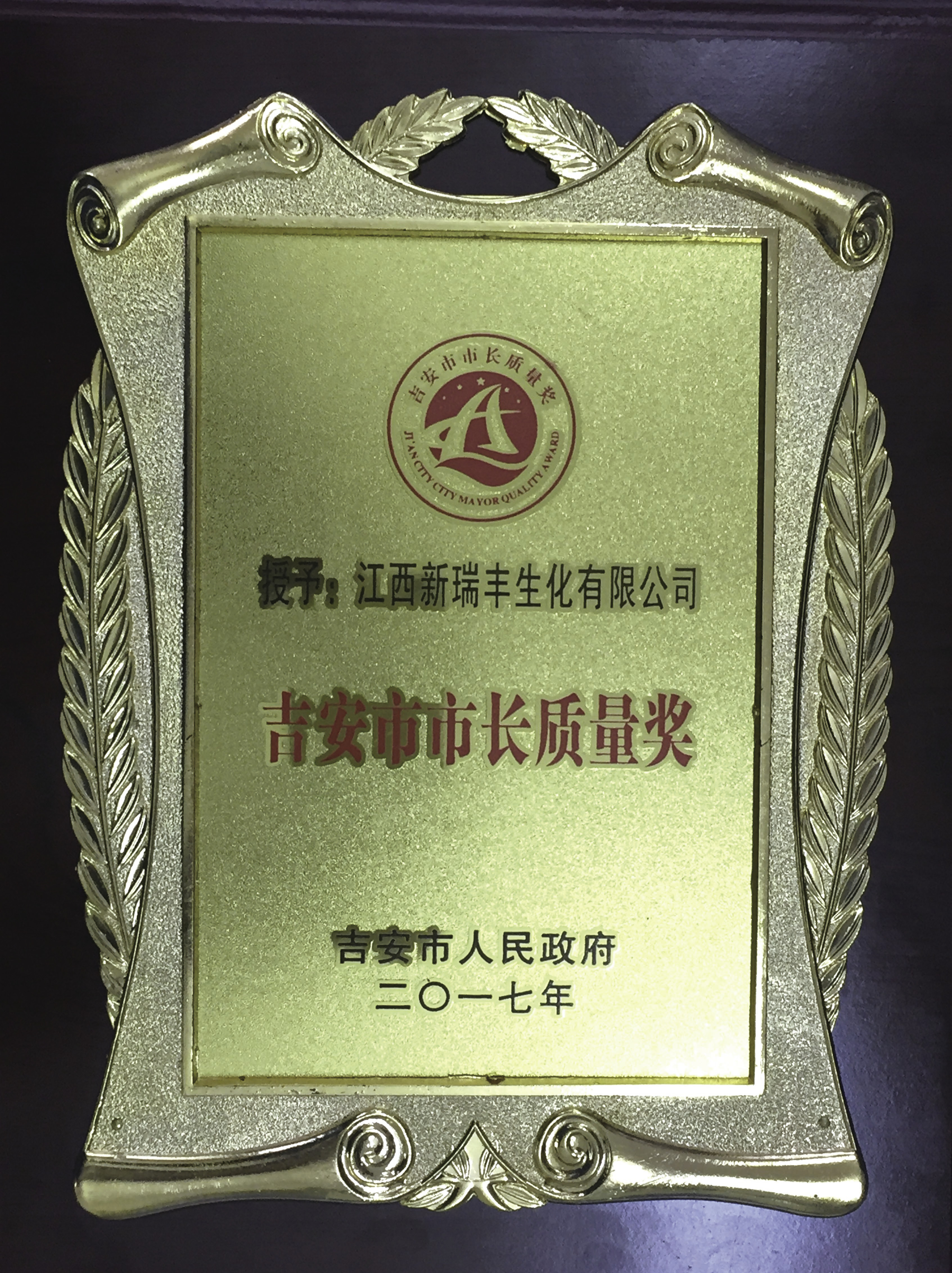 2017 Mayor Quality Award