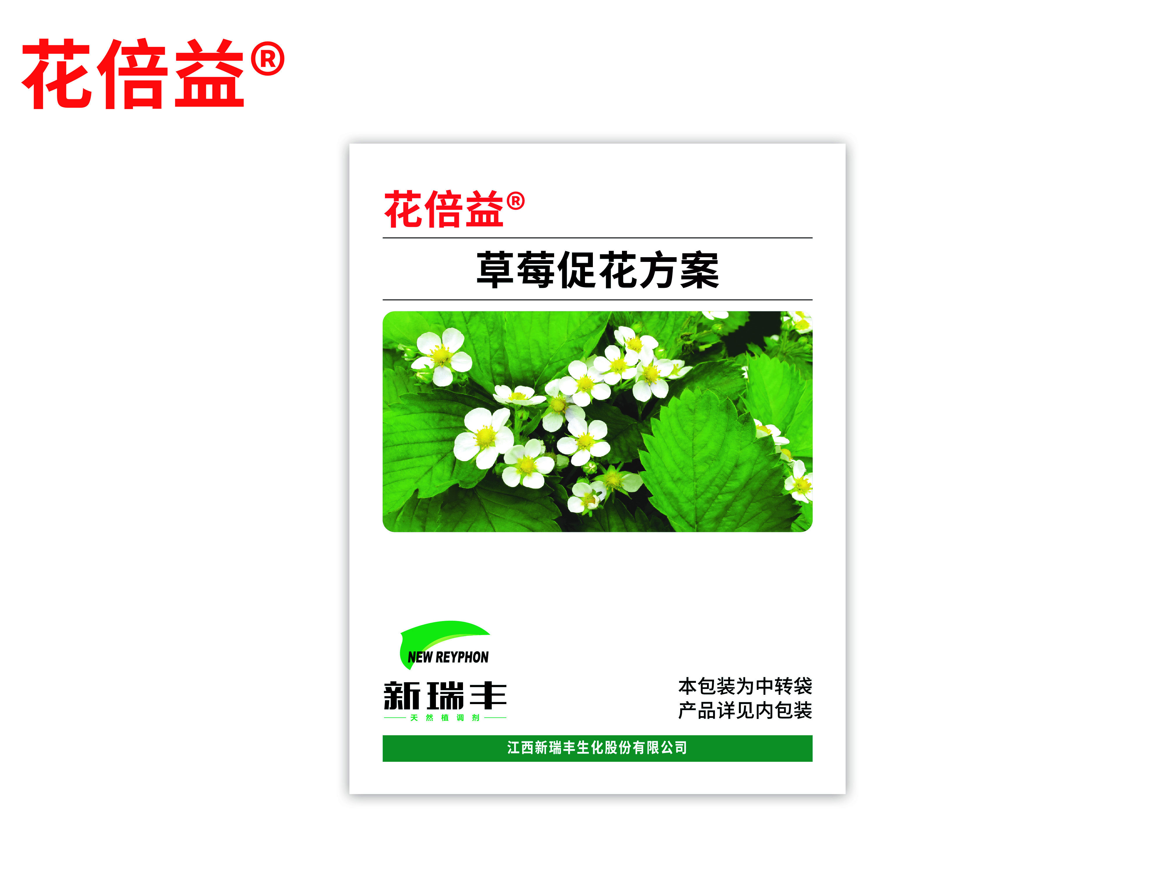 Strawberry Flower Promotion Scheme