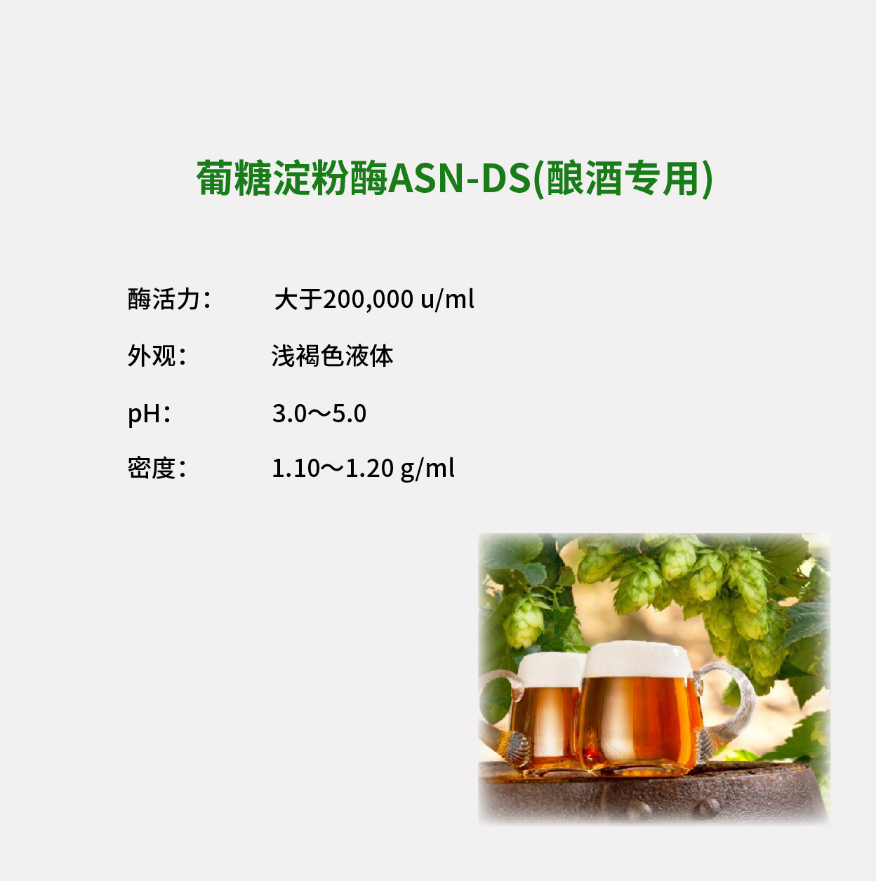 葡糖淀粉酶ASN-DS（酿酒专用）