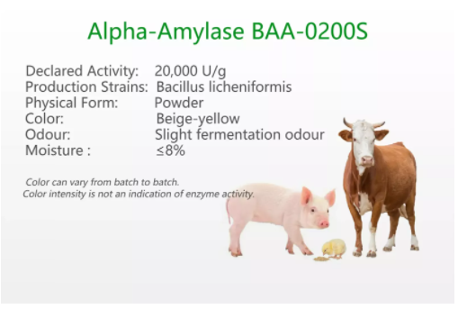 Alpha-Amylase BAA-0200S
