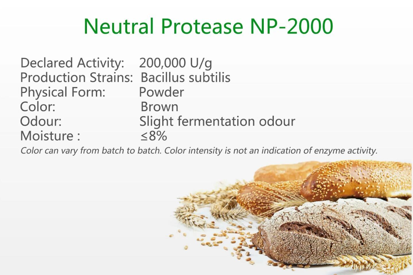 Neutral Protease NP-2000