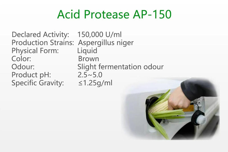 Acid Protease AP-150
