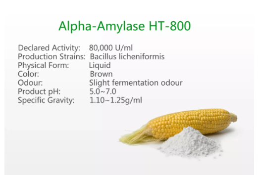 Alpha-amylase HT-800  (Thermostable)