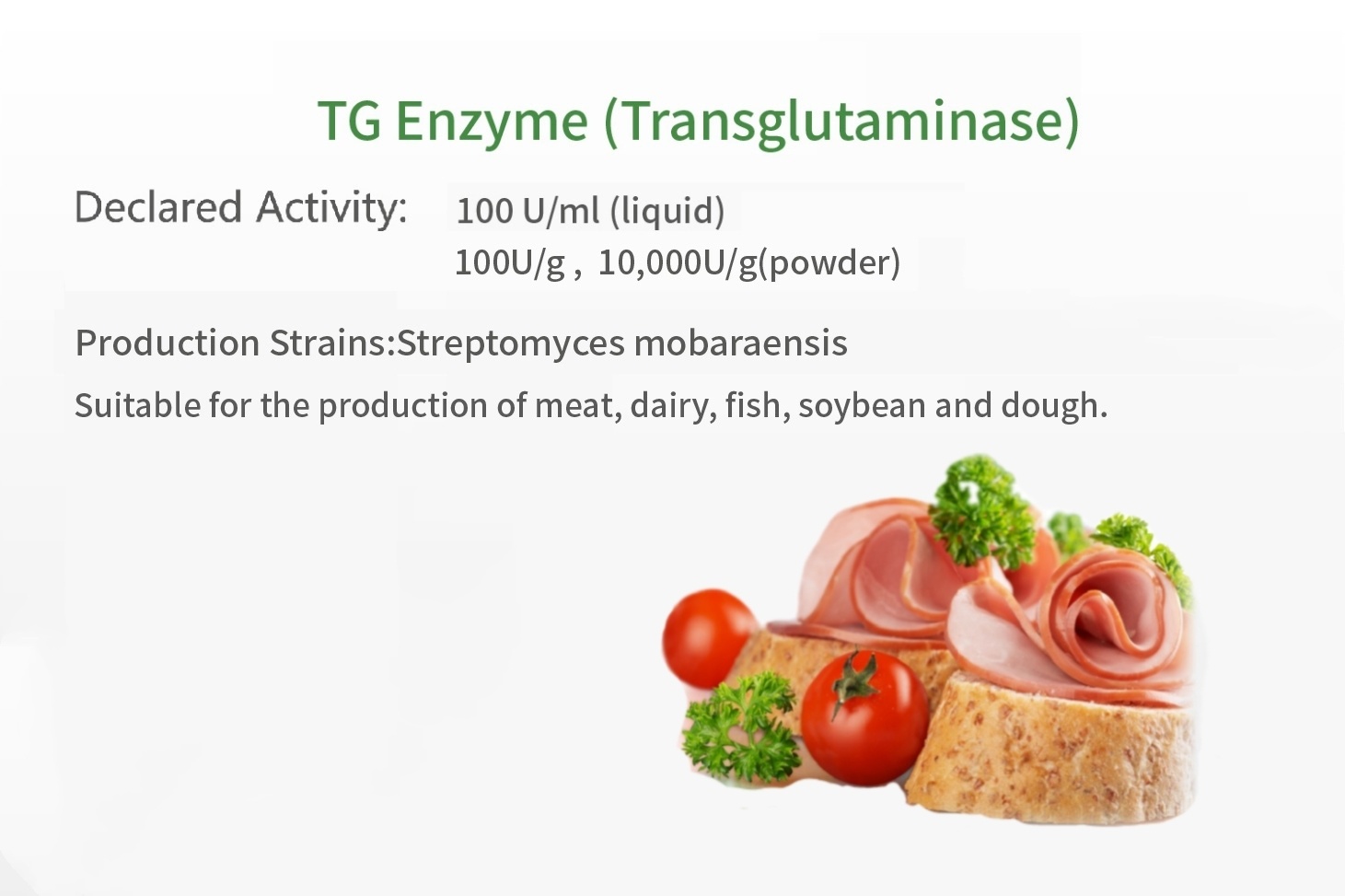 TG Enzyme (Transglutaminase)