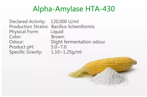 Alpha-amylase HTA-430  (Thermostable)