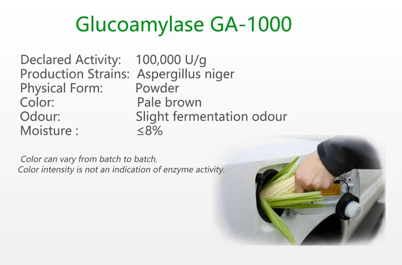 Glucoamylase GA-1000