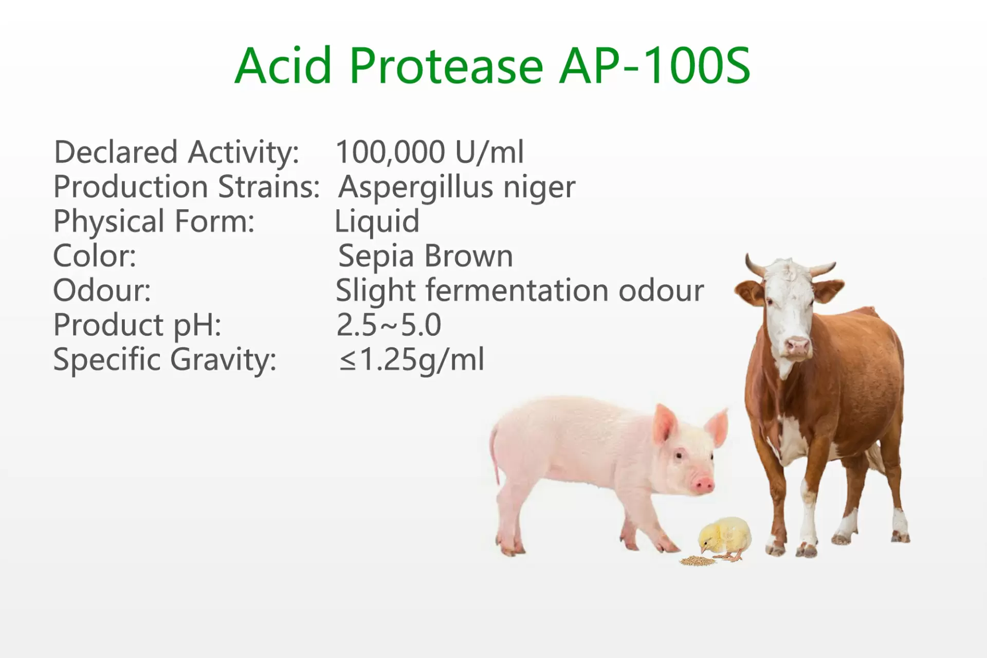 Acid Protease AP-100S