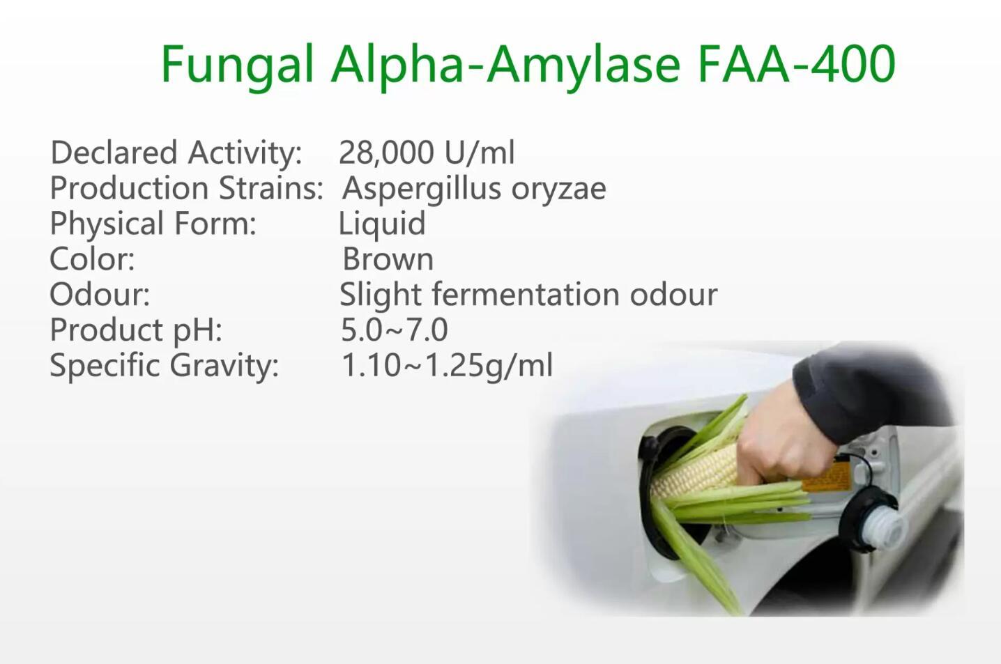 Fungal Alpha-Amylase FAA-400