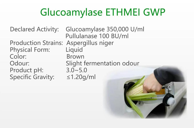 Glucoamylase ETHMEI GWP